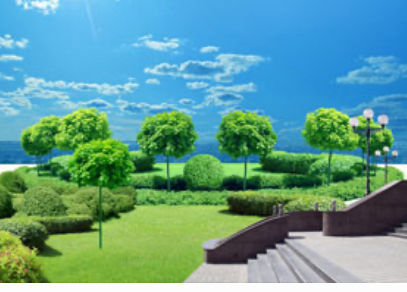 Giardinaggio E Cura Del Verde