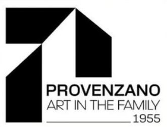 provider-user
